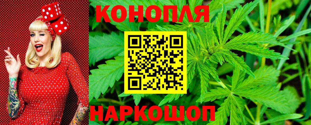 МАРИХУАНА конопля Надым